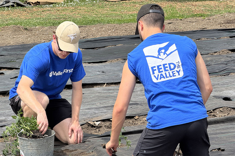 Feed the valley volunteers